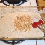 Adding Cashews to Marinade