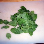 Fresh Mint Leaves