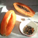 Papaya-Avocado Salad