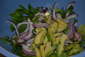 Butter Lettuce and Avocado Salad